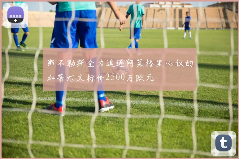 那不勒斯全力追逐阿莱格里心仪的加蒂尤文标价2500万欧元