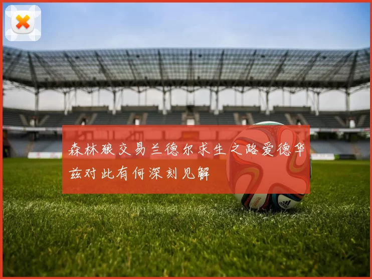 森林狼交易兰德尔求生之路爱德华兹对此有何深刻见解