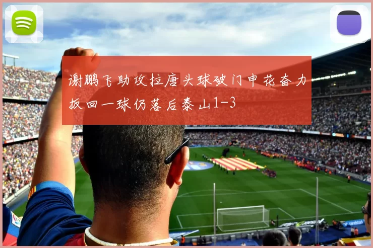 谢鹏飞助攻拉唐头球破门申花奋力扳回一球仍落后泰山1-3
